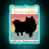 Pomeranian puppy with neon sign, agility training for small breeds