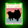 Woman holding a Pomeranian standing in front of a green neon sign that reads 'Sorry, I can't' in a humorous take on agilit...
