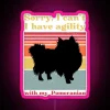 Pomeranian with owner holding neon "Sorry, I can't" sign.