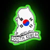 South Korean flag displayed on a map in neon LED lights.