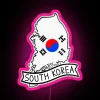 South Korean flag on a map with neon LED lights, pink color scheme.