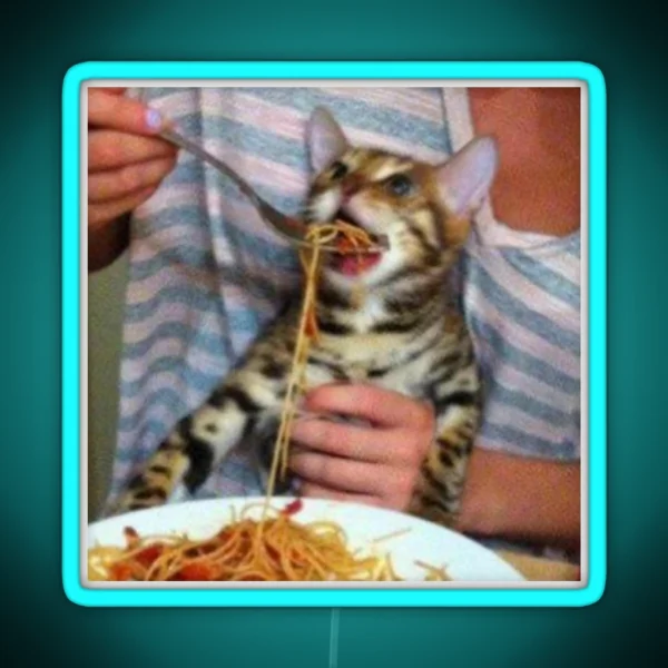 Spaghetti Cat RGB Neon Sign