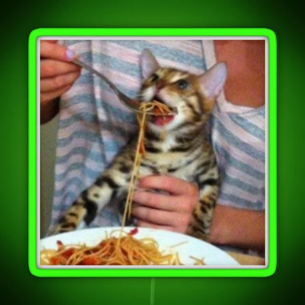 Spaghetti Cat RGB Neon Sign