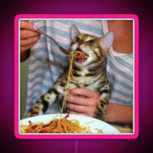 Spaghetti Cat RGB Neon Sign