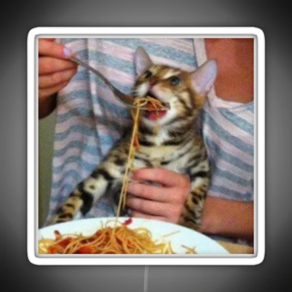 Spaghetti Cat RGB Neon Sign