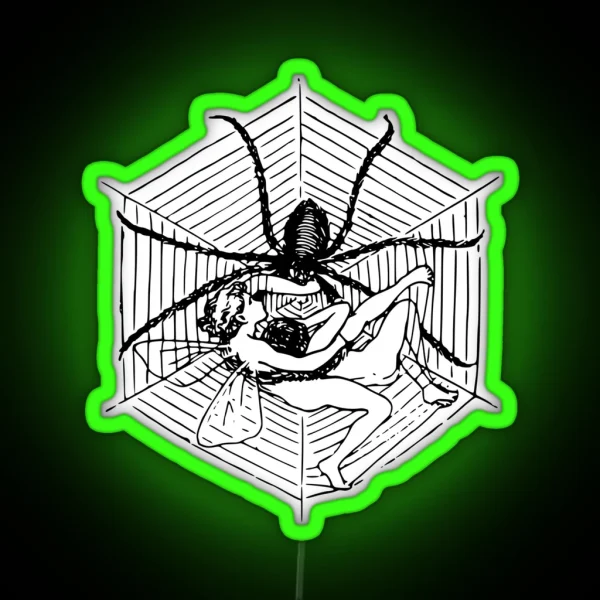 Spider Led Fairies In A Spider Web RGB Neon Sign