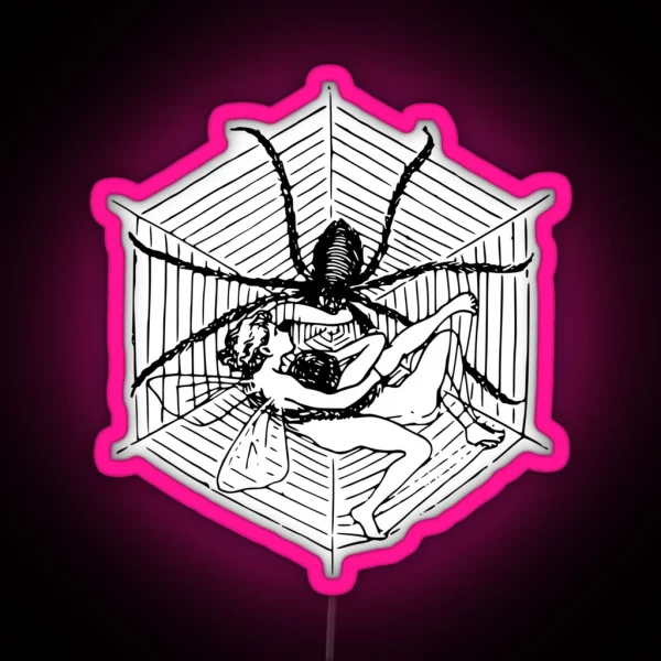 Spider Led Fairies In A Spider Web RGB Neon Sign
