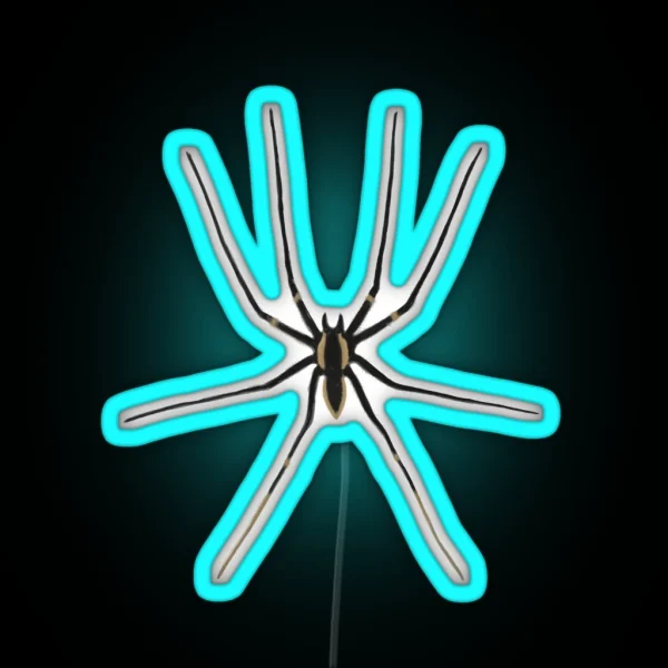 Spider RGB Neon Sign