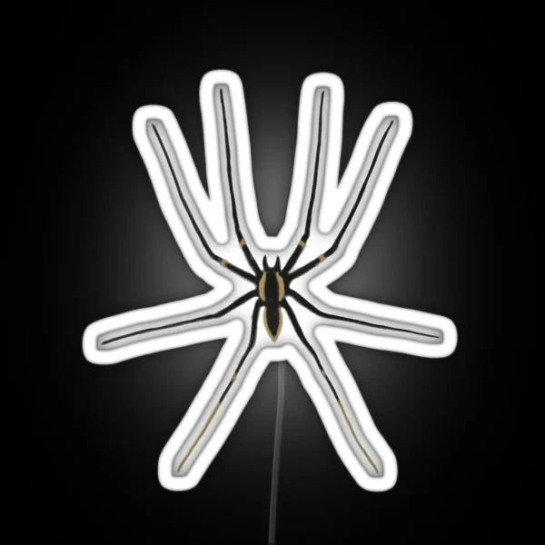 Spider RGB Neon Sign