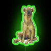 A spotted hyena in neon sign colors, highlighting its distinctive markings
