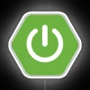 RGB Neon Sign with Spring Boot Logo in White Background