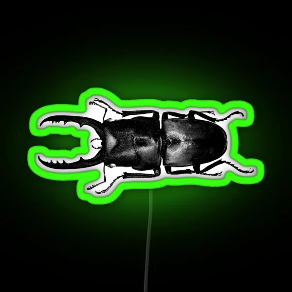 Stag Beetle RGB Neon Sign