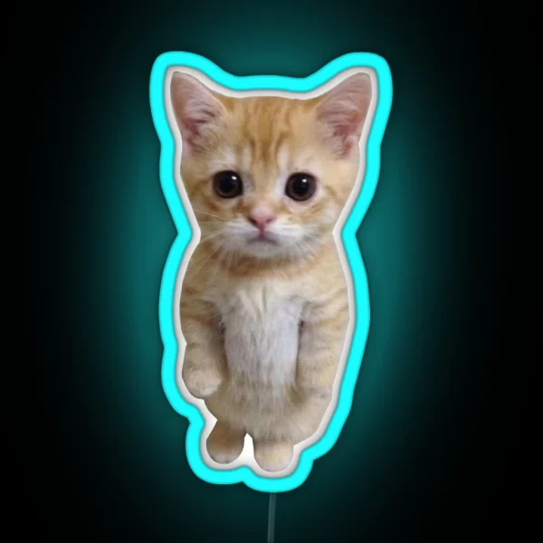 Standing Cat Meme RGB Neon Sign