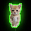 Neon-lit cat stands upright, surrounded by vibrant green glow