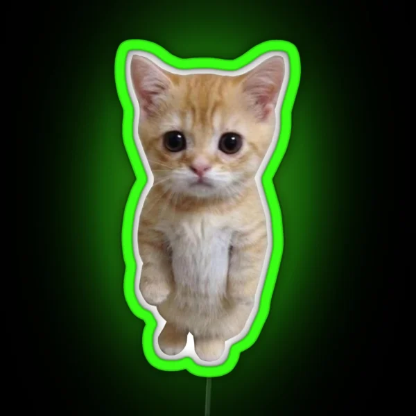 Standing Cat Meme RGB Neon Sign
