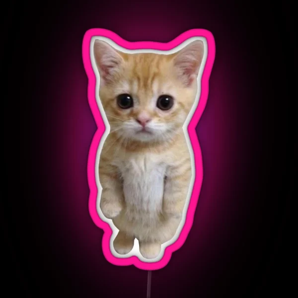 Standing Cat Meme RGB Neon Sign