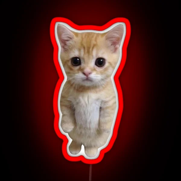 Standing Cat Meme RGB Neon Sign