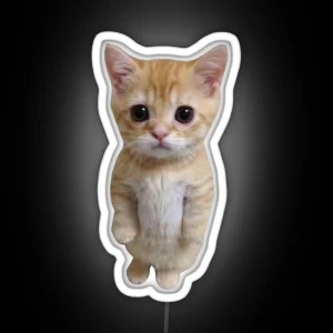 Standing Cat Meme RGB Neon Sign