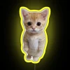 Colorful cat standing in front of a neon sign with a bright yellow background.