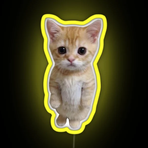 Standing Cat Meme RGB Neon Sign