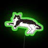 Tuxedo cat gazing at an RGB neon sign in a green-lit room