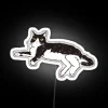 A tuxedo cat sitting in front of an RGB neon sign.