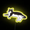 Neon-lit tuxedo cat staring at a bright sign with yellow accents.