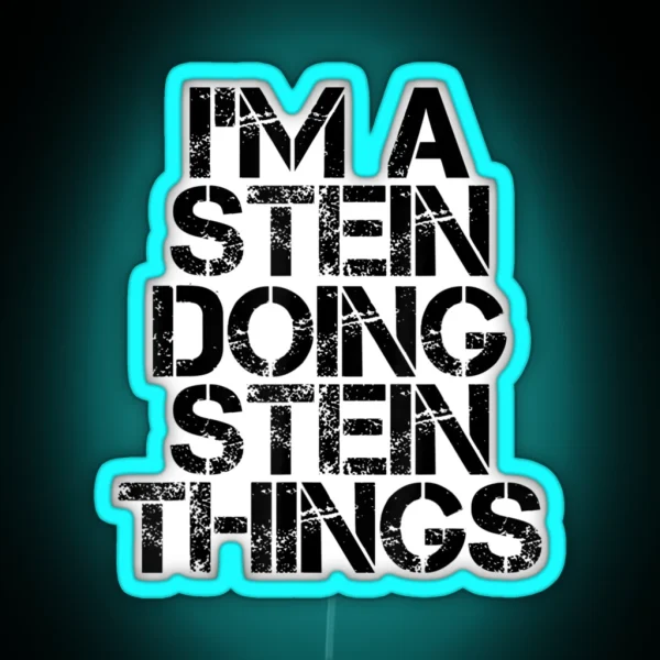 STEIN Funny Surname Family Tree Birthday Reunion RGB Neon Sign