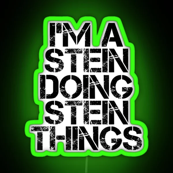STEIN Funny Surname Family Tree Birthday Reunion RGB Neon Sign