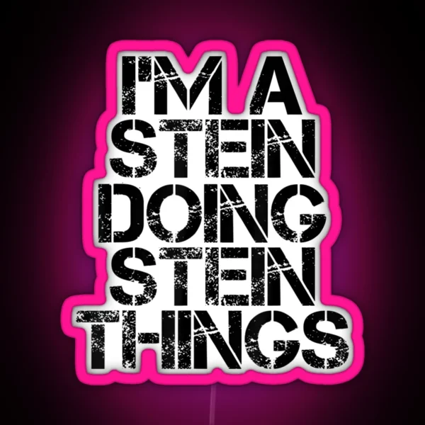 STEIN Funny Surname Family Tree Birthday Reunion RGB Neon Sign