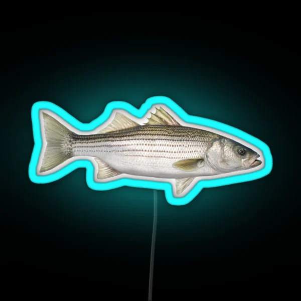 Striped Bass RGB Neon Sign