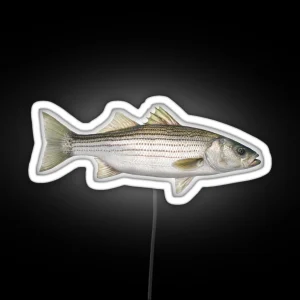 Striped Bass RGB Neon Sign