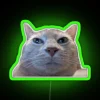Lord Stuart Duart posing in front of an RGB LED neon sign with a green glow.