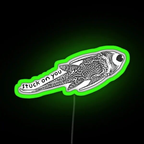 Stuck On You RGB Neon Sign