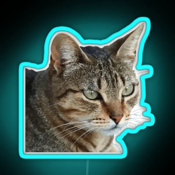 Stunning Tabby Cat Close Up Portrait Vector Isolated RGB Neon Sign