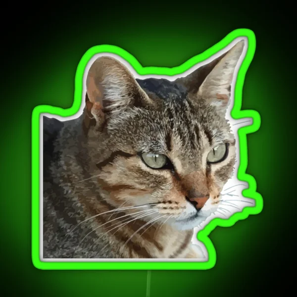 Stunning Tabby Cat Close Up Portrait Vector Isolated RGB Neon Sign