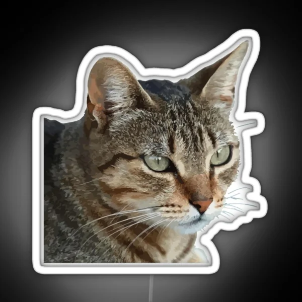 Stunning Tabby Cat Close Up Portrait Vector Isolated RGB Neon Sign