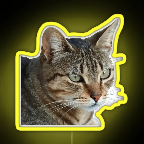 Stunning Tabby Cat Close Up Portrait Vector Isolated RGB Neon Sign