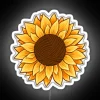 Vibrant sunflowers in neon colors amidst a rainbow-colored yarn background, with a white backdrop.