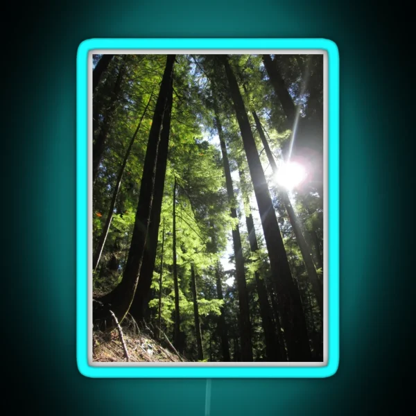 Sunlit Fir Trees RGB Neon Sign