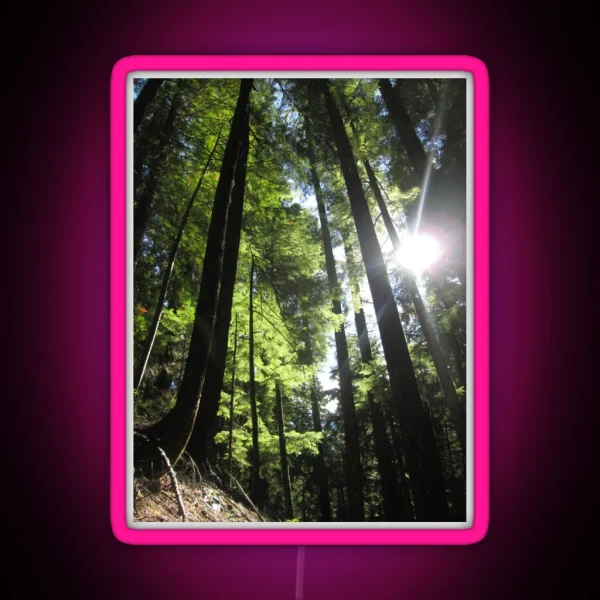 Sunlit Fir Trees RGB Neon Sign