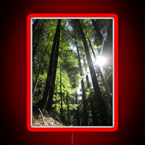 Sunlit Fir Trees RGB Neon Sign