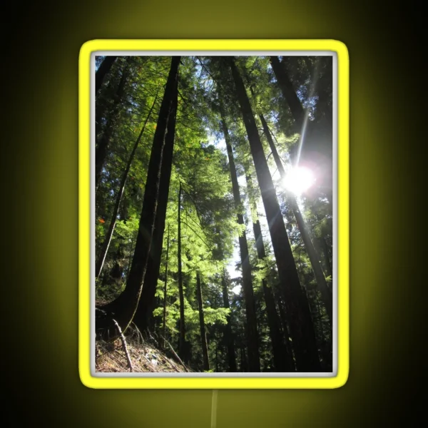 Sunlit Fir Trees RGB Neon Sign