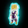 Super Saiyan 2 Gohan from Dragon Ball Z in vibrant RGB neon lights.