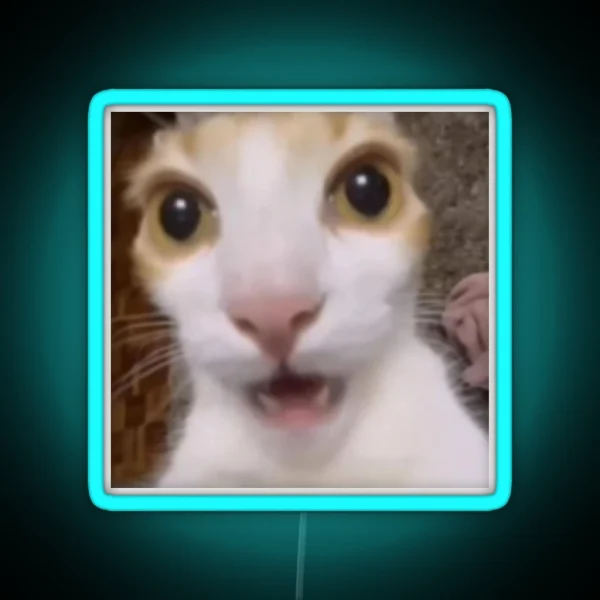 Surprised Cat Tiktok Meme RGB Neon Sign