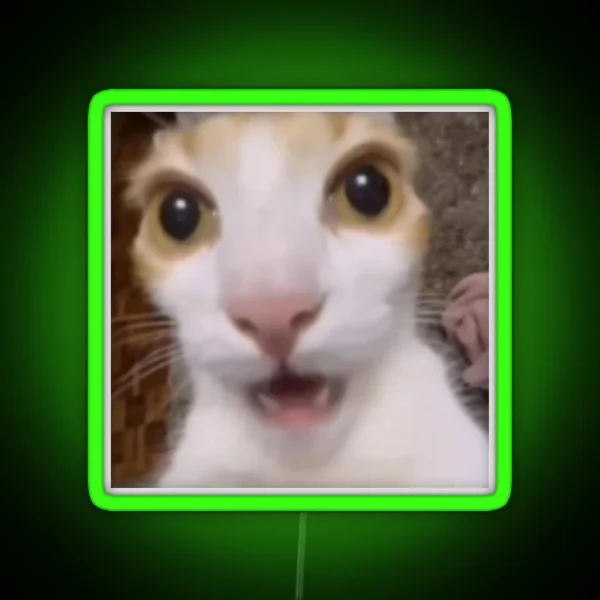 Surprised Cat Tiktok Meme RGB Neon Sign