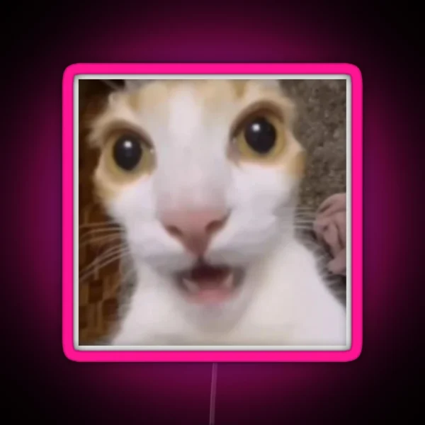 Surprised Cat Tiktok Meme RGB Neon Sign