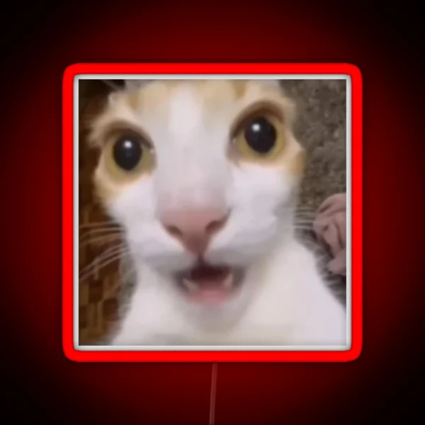 Surprised Cat Tiktok Meme RGB Neon Sign