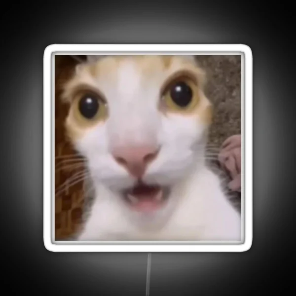 Surprised Cat Tiktok Meme RGB Neon Sign