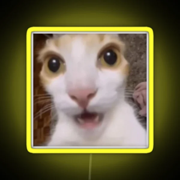 Surprised Cat Tiktok Meme RGB Neon Sign